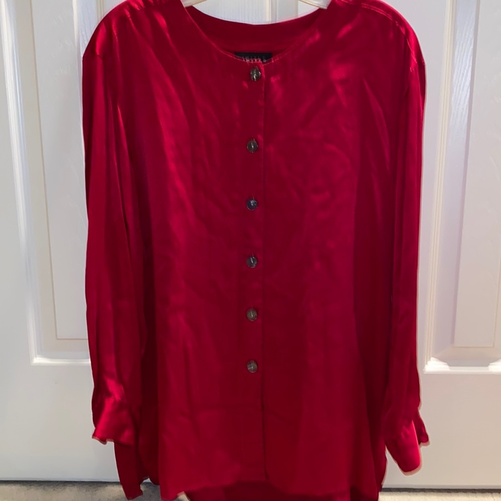 The Limited Silk Holiday Blouse